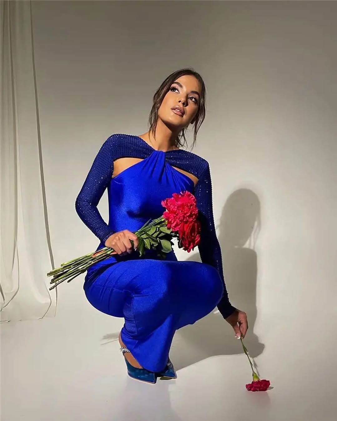 Crystal Sleeve Bodycon Gown